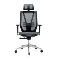 BIFMA best Price ergonomic design full mesh chair high back manager office chair