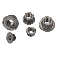 ISO21670 Various Surface Treatments Heavy Industry Zinc Plated Steel Hex Weld Rivet Flange Nut