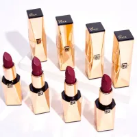 2022 Hot Sale Lipstick Beauty Cosmetic Non-stick Waterproof Silky Beauty Red Lipstick