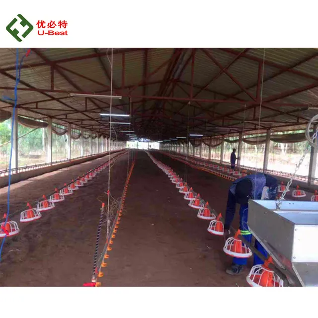 Steel Structure Design Tunnel Ventilation Prefab Chicken House Broiler