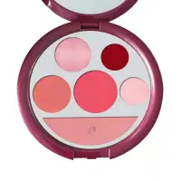 Wholesale Custom 5color Empty Eyeshadow Makeup Palette with mirror for Eyeshadow Lipstick Blush Powder Pigment