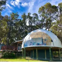 Outdoor Camping Waterproof PVC Winter Igloo House Hotel Garden Party Event Green Geodesic Dome Tent Kit with Hexagonal Window and Skylight