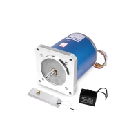 90/110TDY115 Permanent magnet low speed synchronous motor 220V 380V with capacitor and resistor