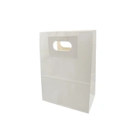 Multi Styles China Supplier Custom Logo Brown Kraft Paper Bags With Rope Handle