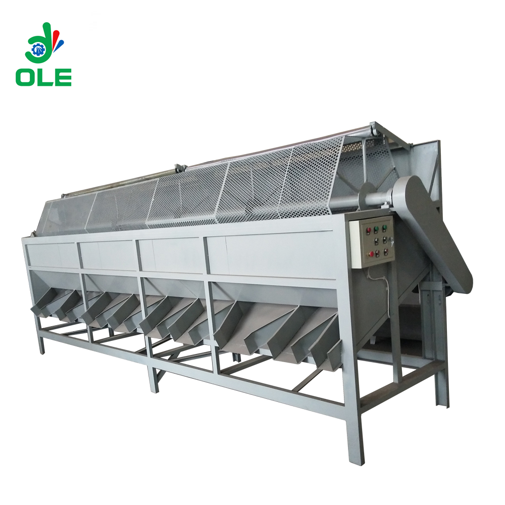Walnut Sorting Machine Hazelnut Cashew nut Grading Machine 400kg/h ...