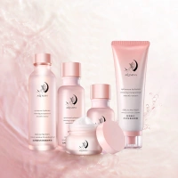 OEM Beauty Professional Skin Care Anti Aging Whitening Facial Gift Set Natural Organic Face private label Skin Care Sets