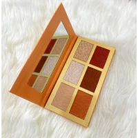 Custom 9 Color Big Size Cosmetic Eyeshadow Fashion Cosmetic Contour Concealer Blush Makeup Eyeshadow Palette For Wholesale