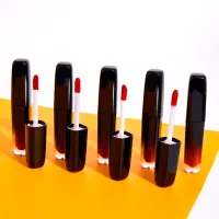 2022 Hot Sale Lip Gloss Multiple Styles Moisturizing Vegan Matte Liquid Lipstick