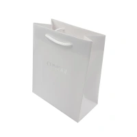 Clothes Recycled white Coated GlossyPaper Shopping Bags With Ribbon Handles