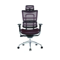 2022 Swivel Ergonomic Office Chair Revolving High Back Height adjustable Office Chair Mesh