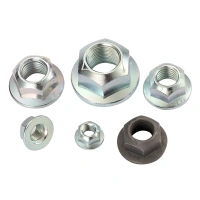 JIS B 1199-4-2001 High Standard Different Material Hex Flange Plain Customize Automotive Locknuts