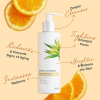custom logo all natural face wash deep cleanse Face Oil Control private level face