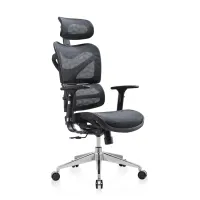 Foshan Comfortable Ergonomic Chair Adjustable Height Cheap Desk Office Chair