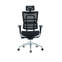 Manager Office Mesh Eexecutive Office Chair 24hours Seating High Back Full Mesh Office Chair For Manager