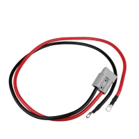 Anderson-style connector 50A to Eye Terminal - 8 Gauge - Red & Black 300MM Wire harness processing plant