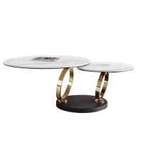 Living Room Metal Table Round Marble Centre Table Rotatable Gold Silver Black Steel Frame Coffee Tables