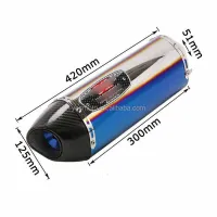 38-51mm scooter Steel Exhaust Pipe Muffler Tube Blue with Silencer For Kawasaki BMW G 310 GS