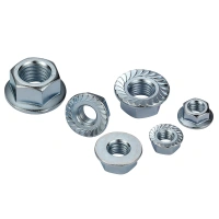 ANSI B18.2.2 High quality China professional manufacture steel nut hexagon flange nuts