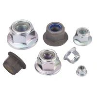 JIS B 1199-4 Prevailing Torque Type Hexagon Nuts With Flange And Nylon Insert furniture nut insert