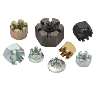 JIS B 1170 China wholesale custom galvanized hexagon nut Hexagon Slotted Nuts