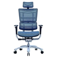 Ergonomic Design Mesh High Back Executive Desk Ergonomic Mesh Office Chairs
