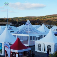 20x20 20x30 20x40 Strong Quality Aluminum Alloy Frame PVC High Peak Proof Event Pagoda Gazebo Tent