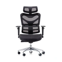 Hot Sale Commercial Furniture High Back Breathable Mesh Ergo Swivel Desk Chair with Lumbar