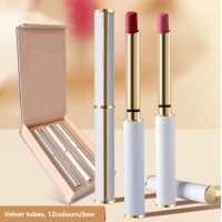 Professional Velvet tubes 12 Colours Gift Box Luxury Strips Full Portable Matte Lip Stick Velvet Mist lipstick For Makeup