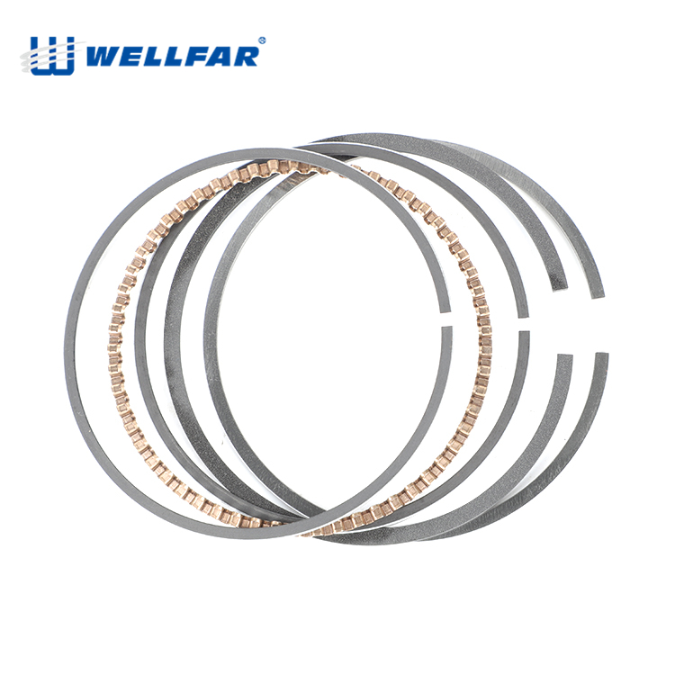 Wellfar Daewoo Cielo Engine Parts Diesel 76.5mm Daewoo Piston Rings For