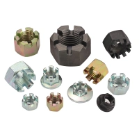 ASME B18.2.2 Self-locking Fine Workmanship Hex Slotted Nuts Hot Dep Galvanized Hexagon Nut