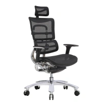 Best Selling Eexecutive Mesh Office Chair Adjustable High Back Ergonomic Chair Office